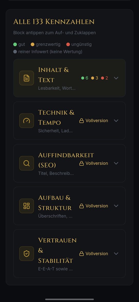 mtSEO Site Analyzer: alle 133 Kennzahlen in 5 Bereichen