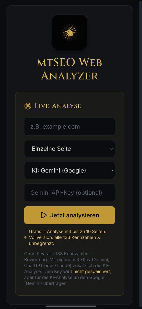 mtSEO Site Analyzer: Live-Analyse starten